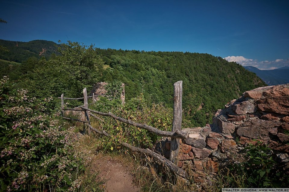 12 Castel Greifenstein