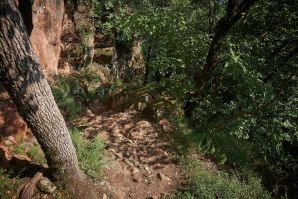 Castel Greifenstein
