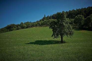 Castel Greifenstein