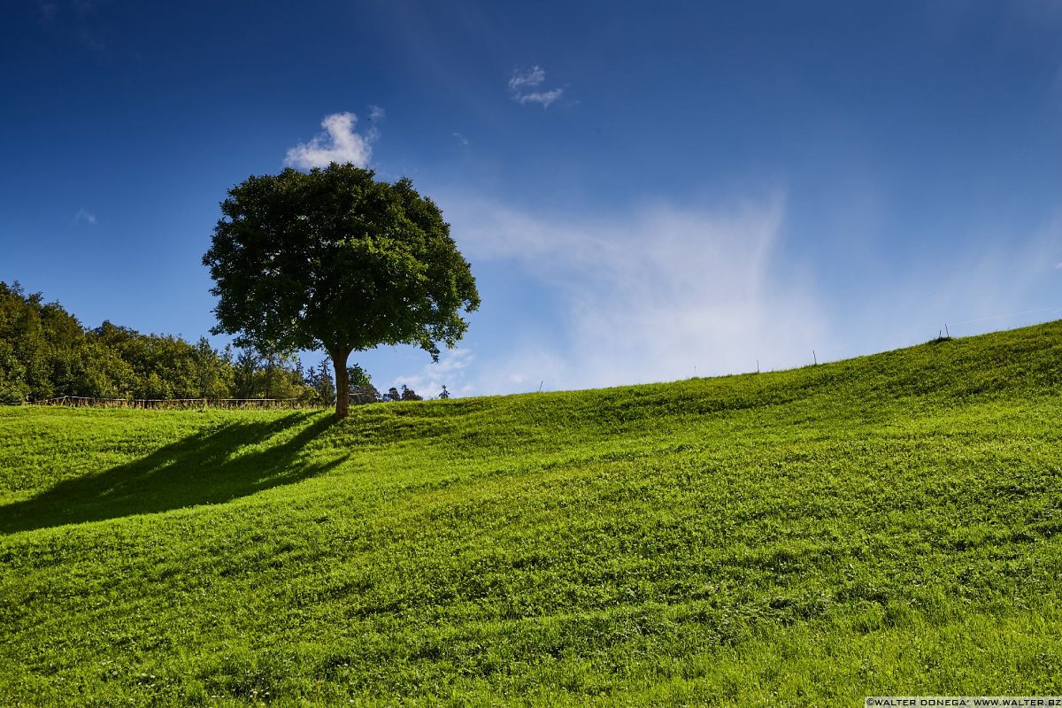  Escursione a Castelrotto