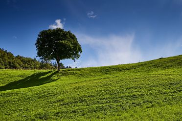 Escursione a Castelrotto