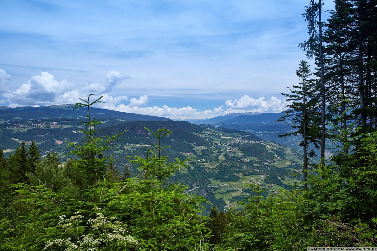 Escursione al Colle - Titschenalmen