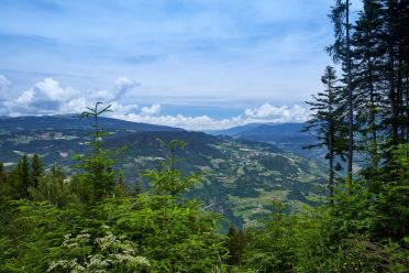 Escursione al Colle - Titschenalmen
