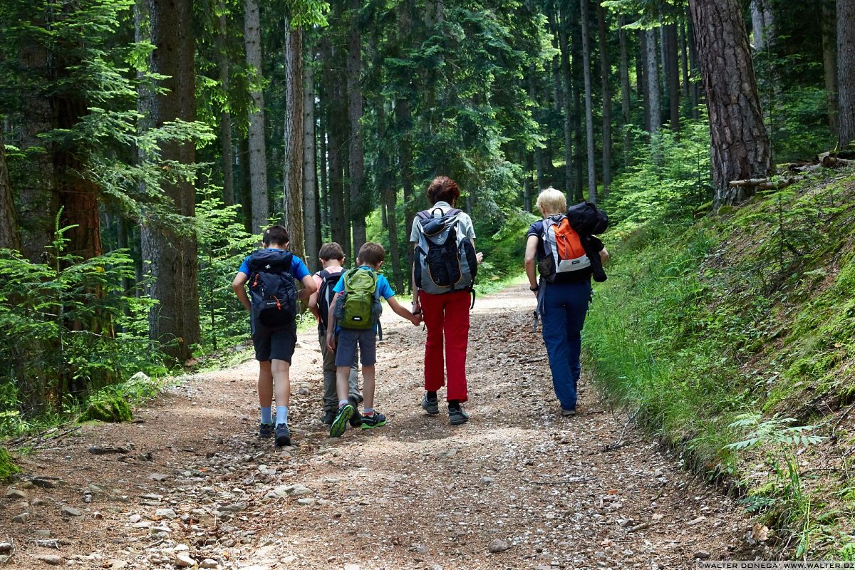 Escursione al Colle - Titschenalmen