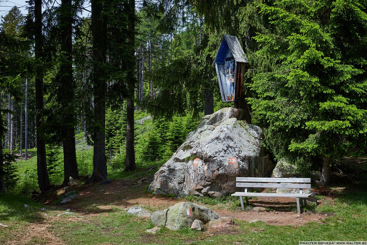 Escursione al Colle - Titschenalmen