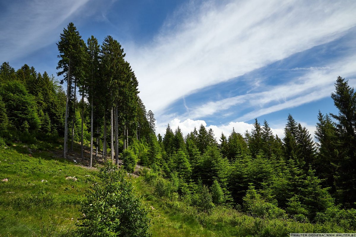Escursione al Colle - Titschenalmen