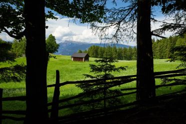 Escursione al Colle - Titschenalmen