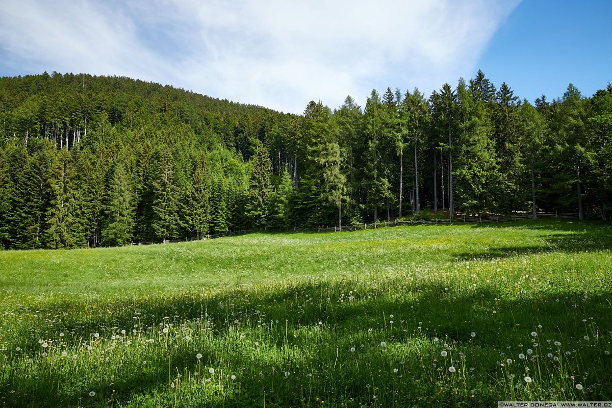 Escursione al Colle - Titschenalmen