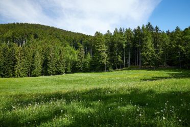 Escursione al Colle - Titschenalmen