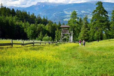 Escursione al Colle - Titschenalmen