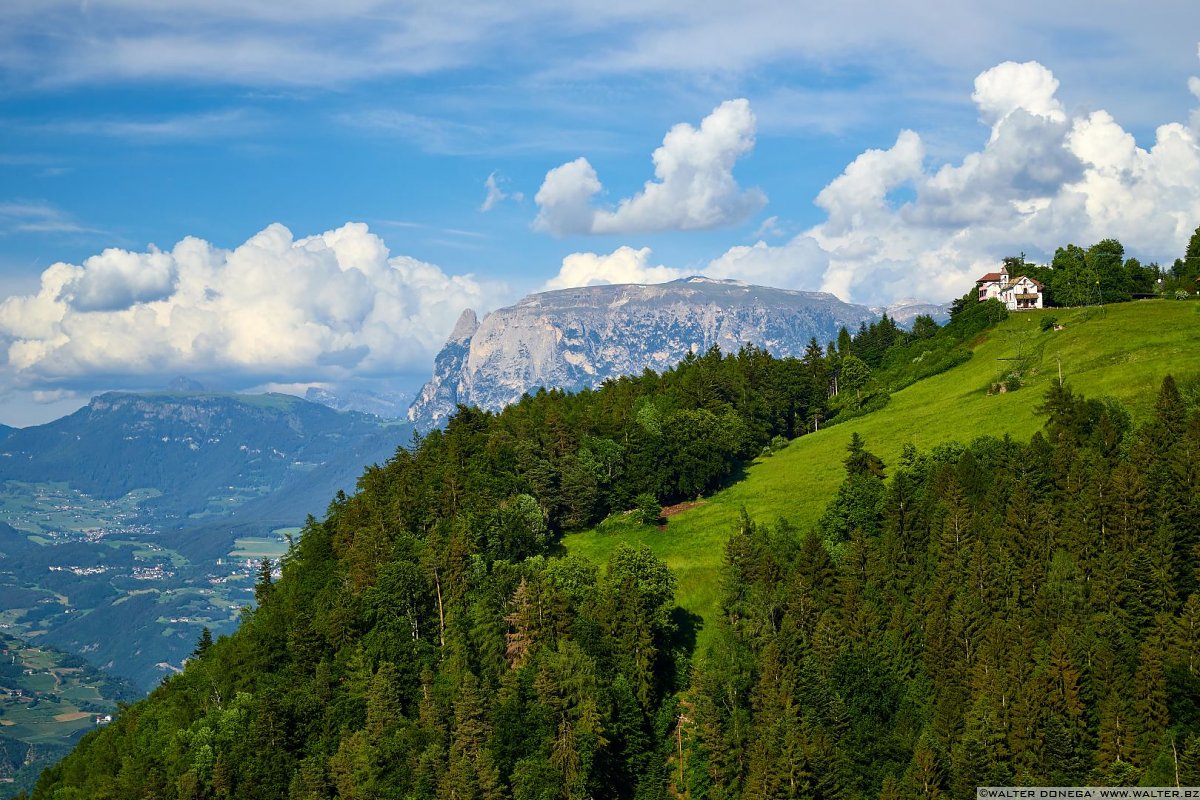 Escursione al Colle - Titschenalmen