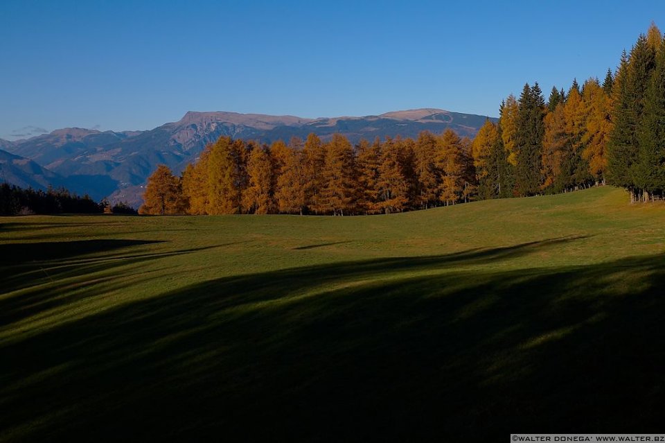 Colori d'autunno Bolzano - 07 Colori d'autunno a Bolzano