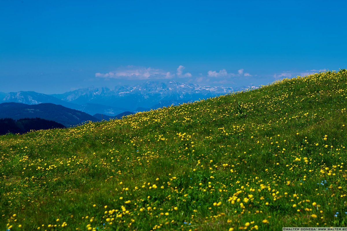 IMG_1392 Escursione dal Passo Oclini al Corno Bianco