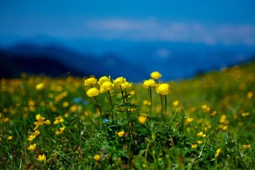 Escursione dal Passo Oclini al Corno Bianco