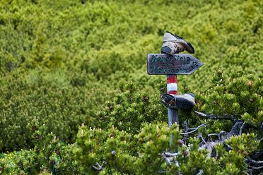 Escursione dal Passo Oclini al Corno Bianco