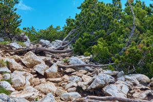 Escursione dal Passo Oclini al Corno Bianco