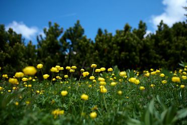 Escursione dal Passo Oclini al Corno Bianco