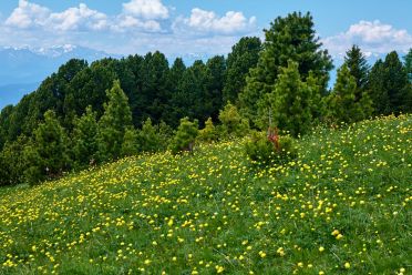 Escursione dal Passo Oclini al Corno Bianco