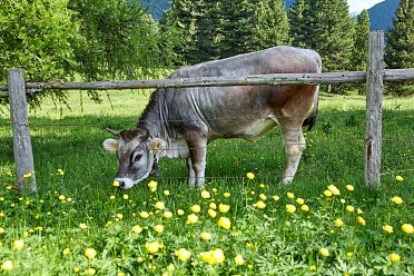 Escursione dal Passo Oclini al Corno Bianco