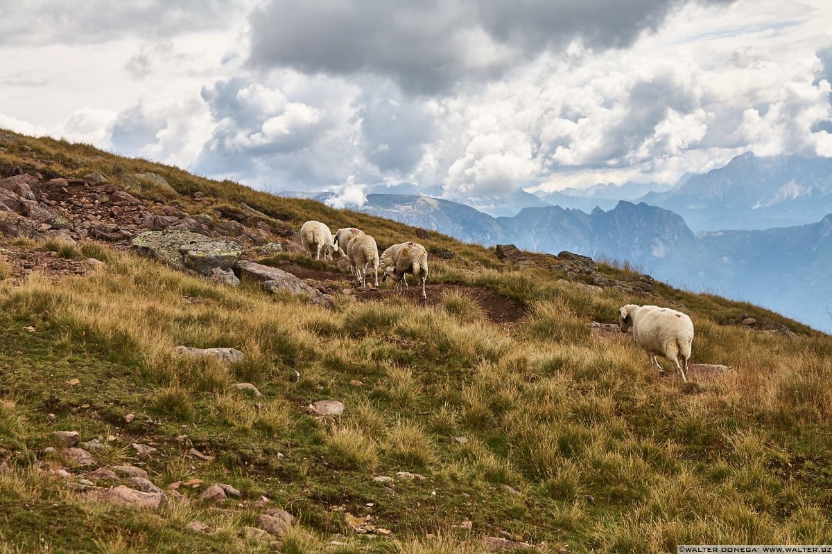  Escursione al Corno del Renon