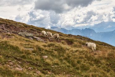 Escursione al Corno del Renon