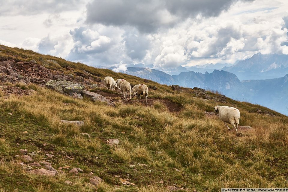 Escursione al Corno del Renon