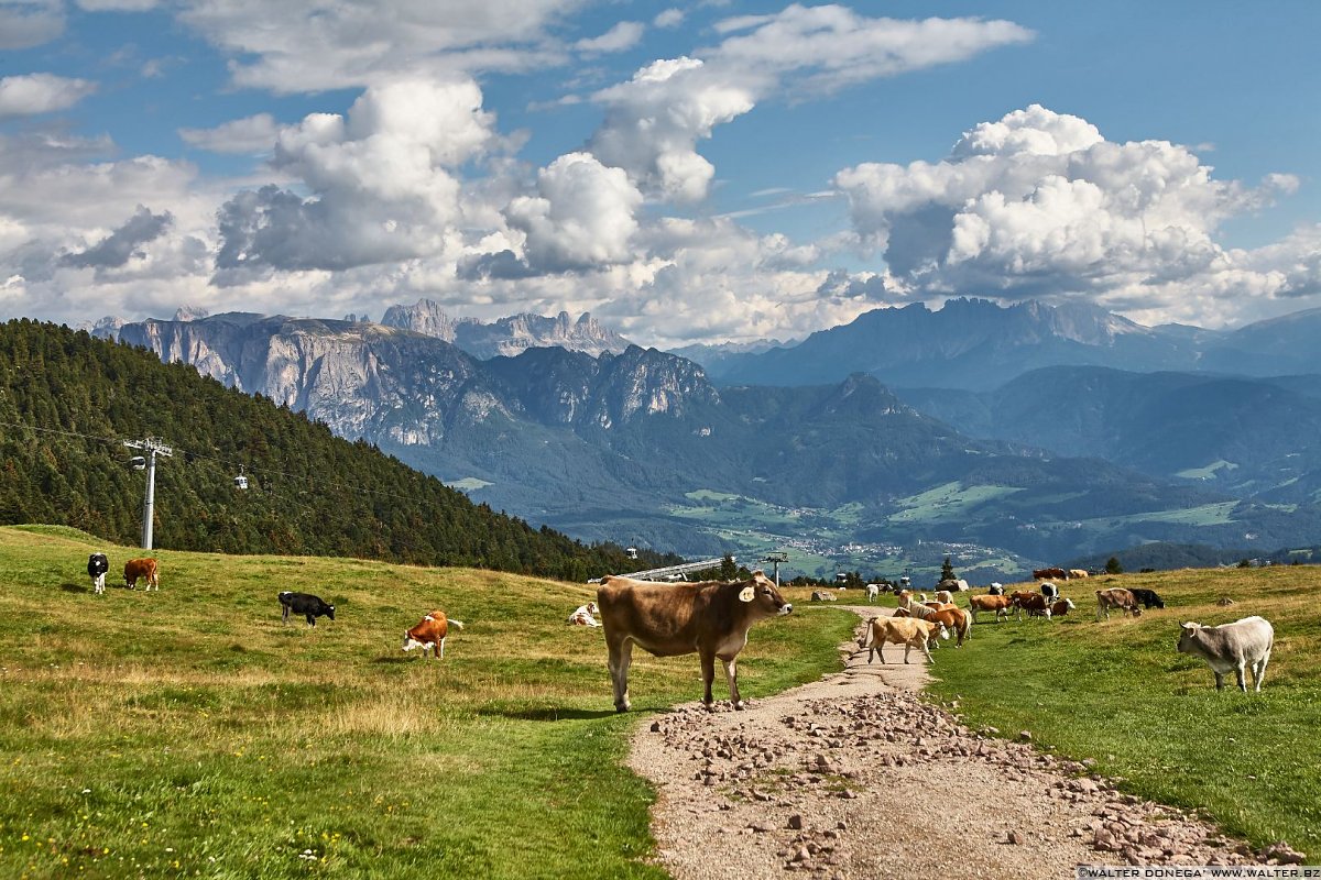  Escursione al Corno del Renon