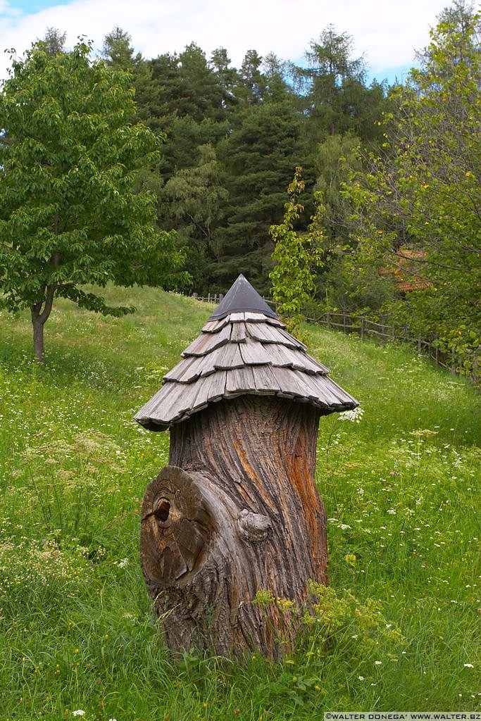 Costalovara Wolfsgruben - 15 Lago di Costalovara Wolfsgrubensee e  Museo delle api