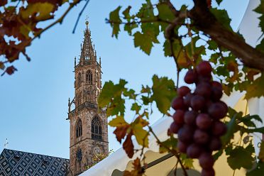 Festa del ringraziamento Bolzano