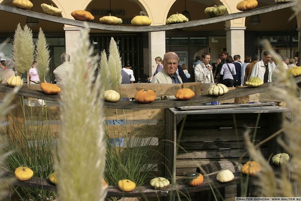 Festa della zucca Bolzano 2004 - 15 Festa della zucca 2004