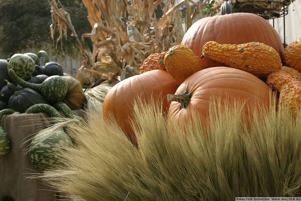 Festa della zucca Bolzano 2004 - 29 Festa della zucca 2004