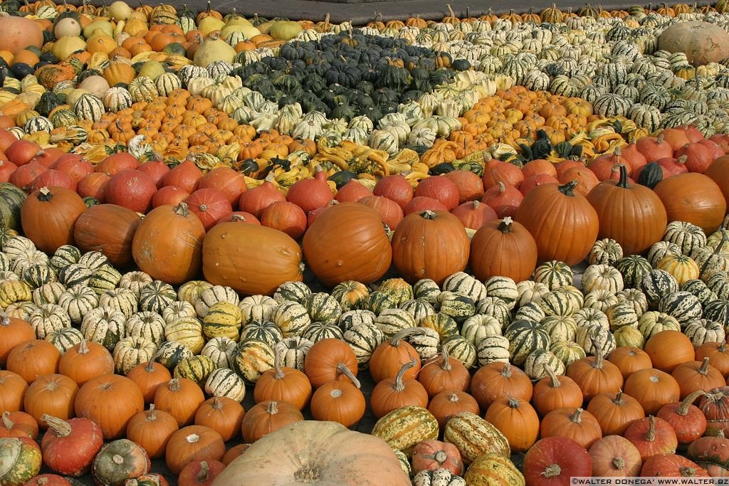 Festa della zucca Bolzano 2004 - 33 Festa della zucca 2004