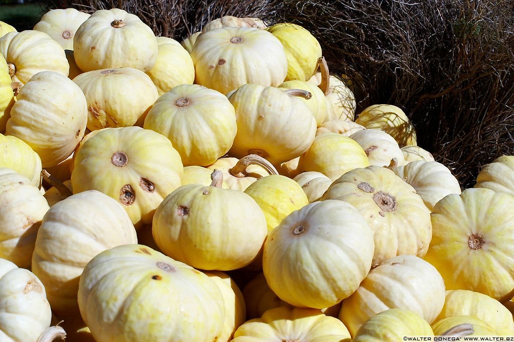 Festa della zucca Bolzano 2006 - 23 Festa della zucca 2006