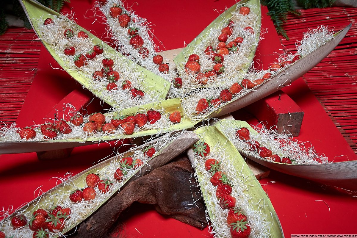 Le protagoniste di questo foto album: le fragole Festa delle fragole in Val Martello