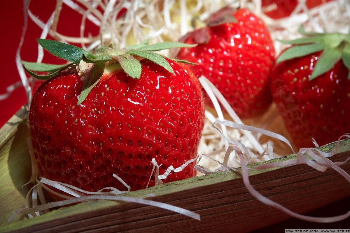 Fragola rosso vivo Festa delle fragole in Val Martello