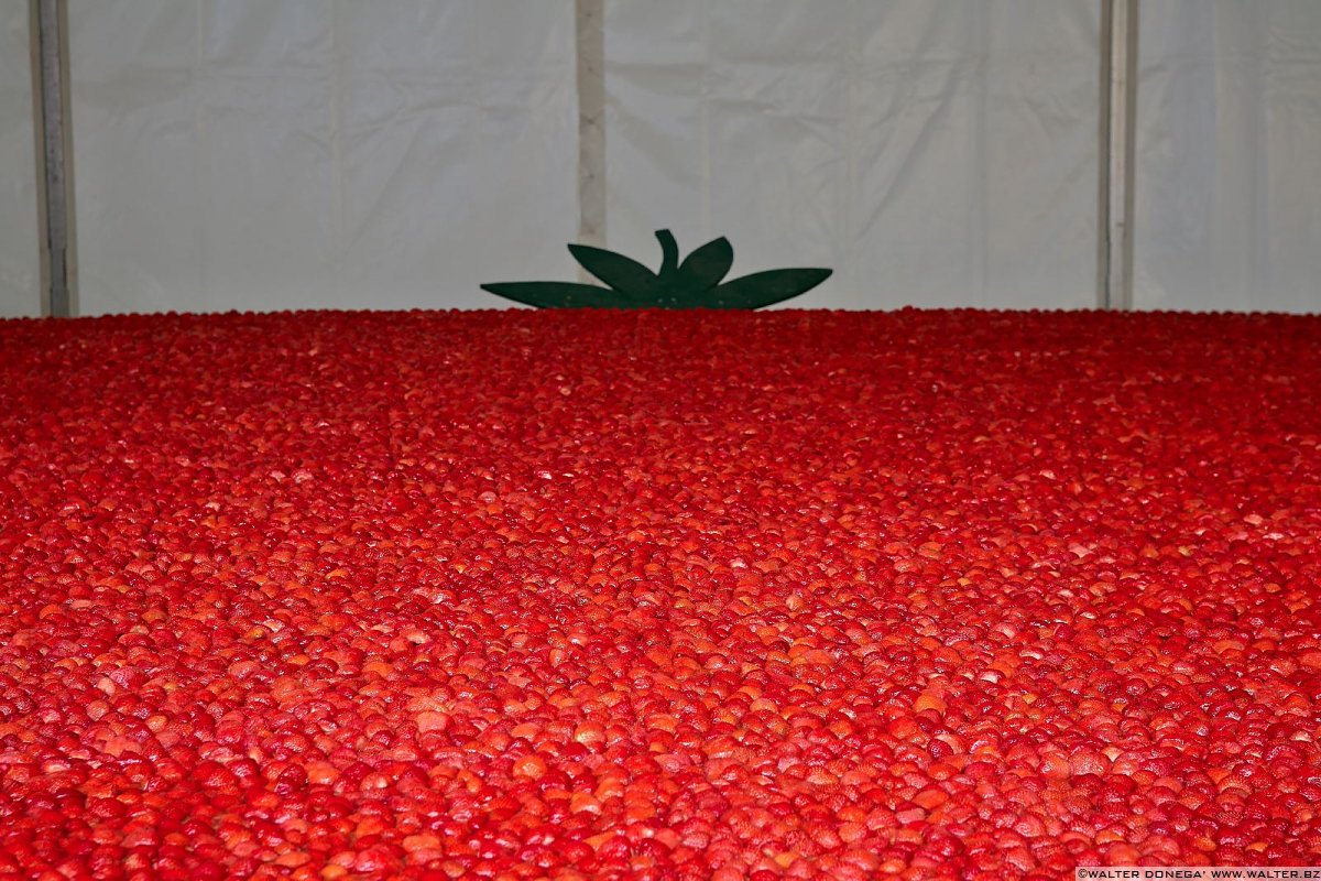 La mega torta di fragole Festa delle fragole in Val Martello