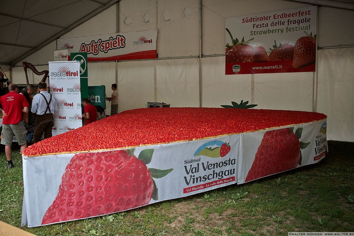 La mega torta di fragole Festa delle fragole in Val Martello