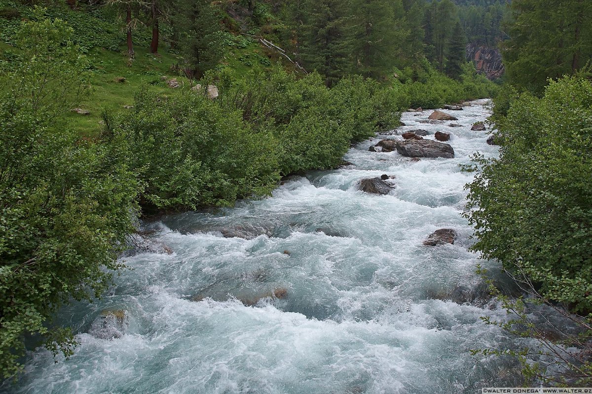 Fresca acqua dalla neve che si scioglie Festa delle fragole in Val Martello