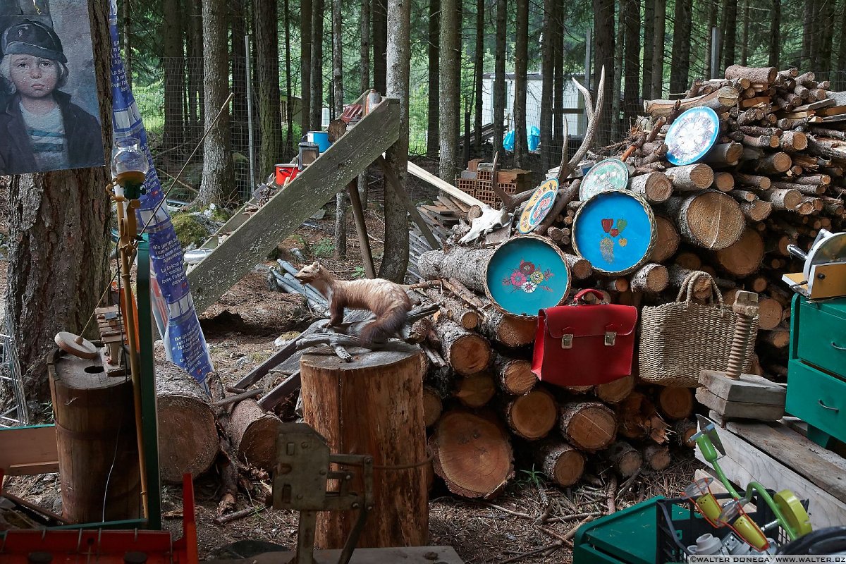 Un mercatino delle pulci in mezzo al bosco Festa delle fragole in Val Martello