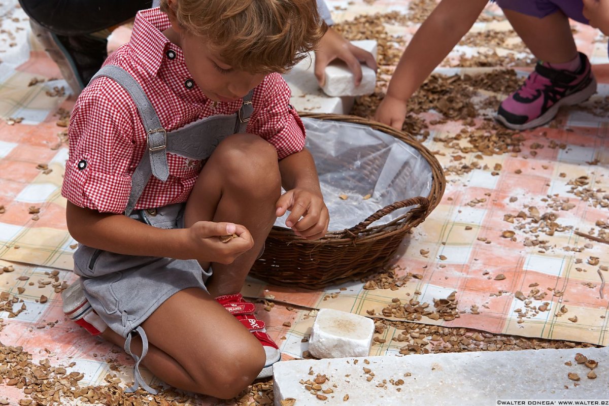 16 Festa del marmo e delle albicocche di Lasa