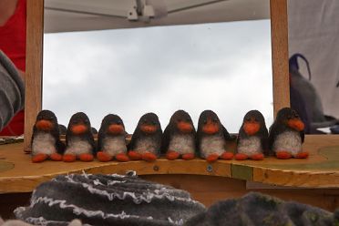 Festa del marmo e delle albicocche di Lasa