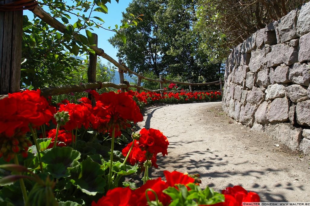 I Giardini di Castel Trauttmansdorff - 24 I giardini