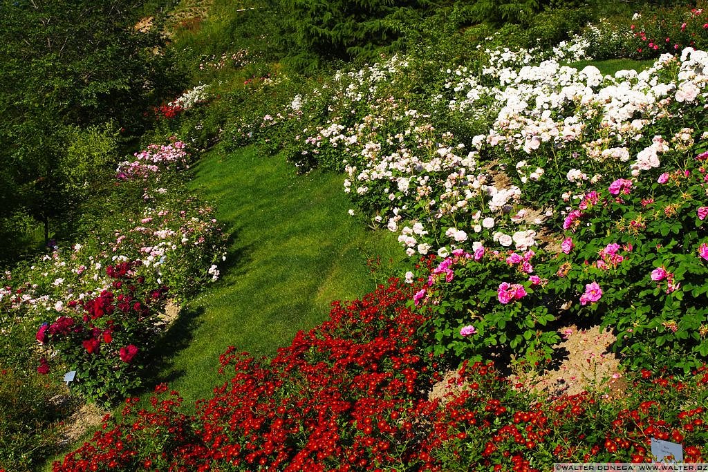 I Giardini di Castel Trauttmansdorff - 48 I giardini