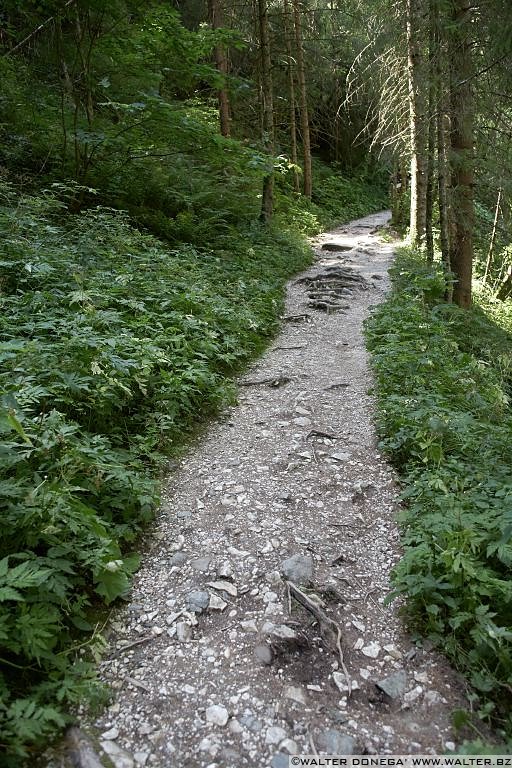 03 Gilfenklamm - Cascate di Stanghe