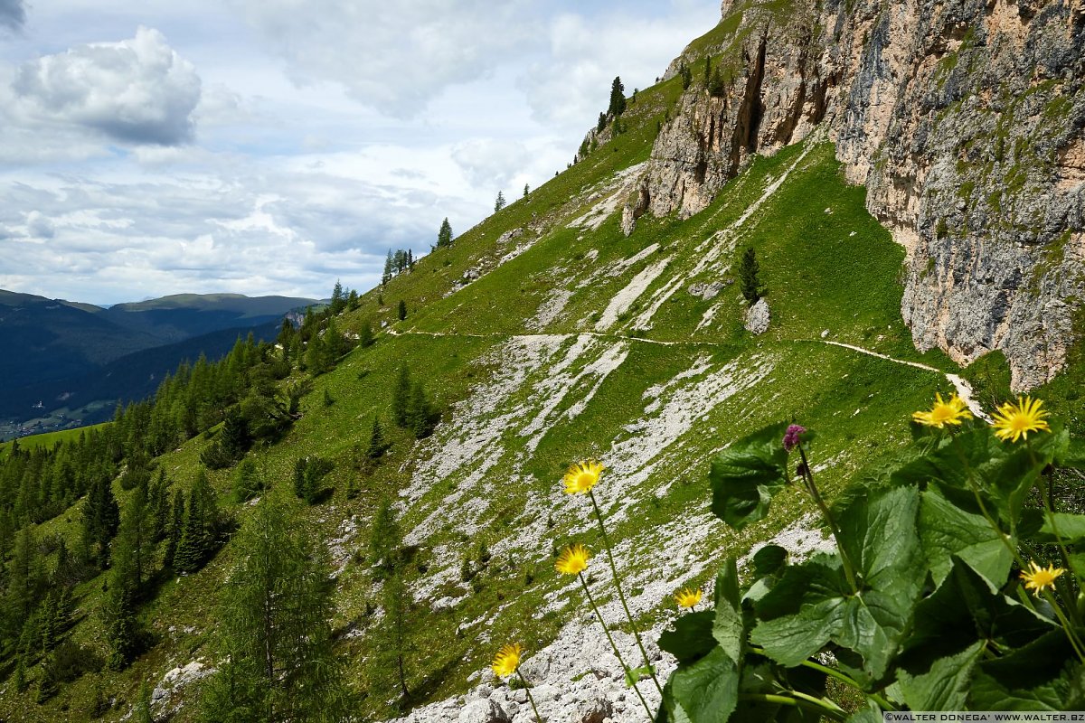 Escursione giro del Sassolungo