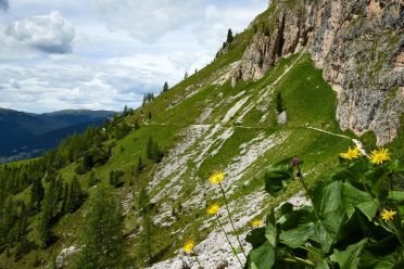 Escursione giro del Sassolungo