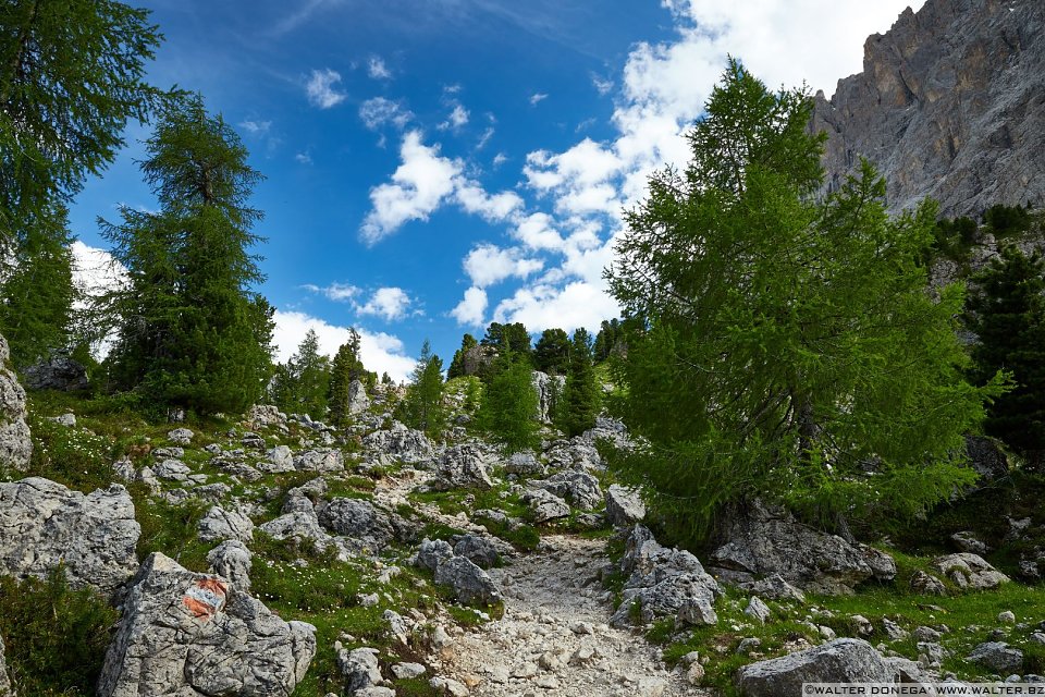 Escursione giro del Sassolungo