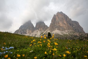 Escursione giro del Sassopiatto