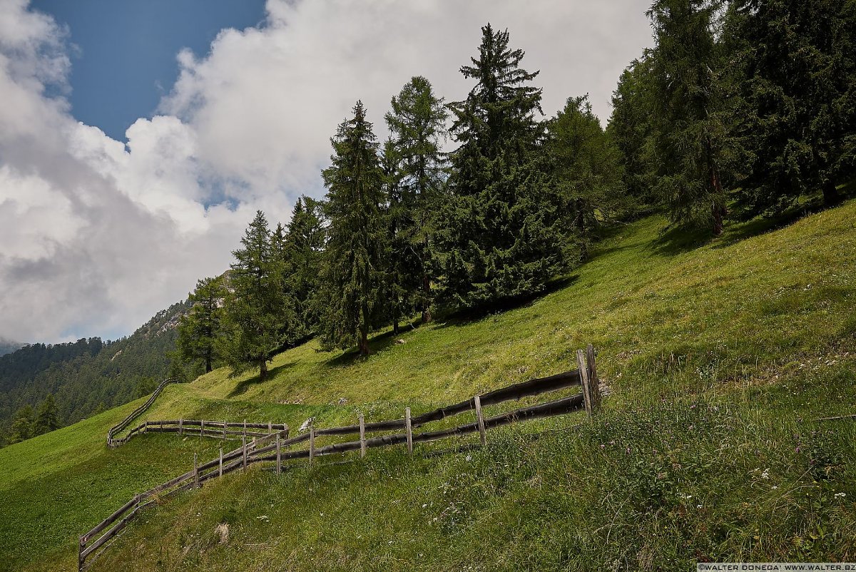  Escursione alla malga Haniger Schweige ai piedi del Catinaccio