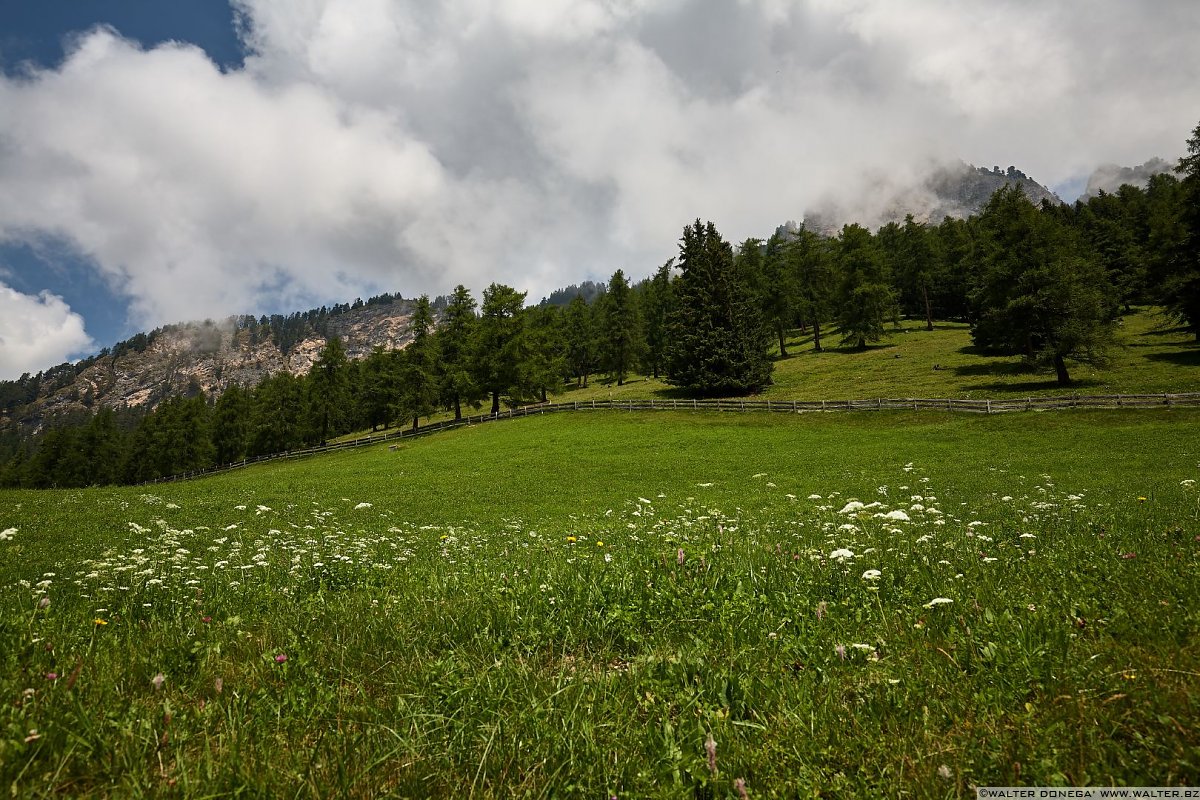  Escursione alla malga Haniger Schweige ai piedi del Catinaccio